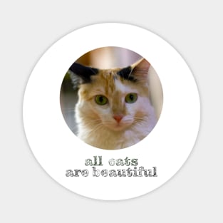 all cats are beautiful Magnet